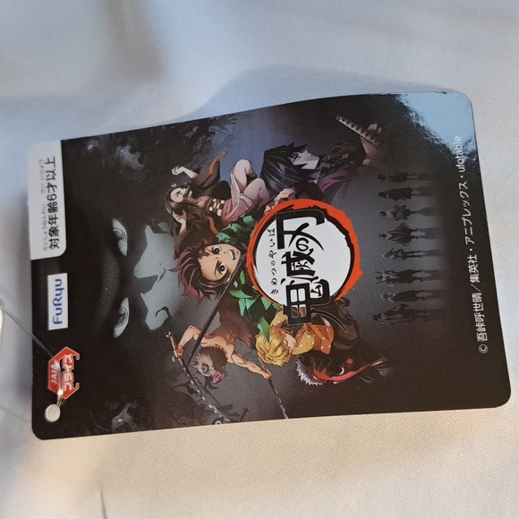 Kimetsu No Yaiba (Demon Slayers) Kanao Plushie - Picture 3 of 3